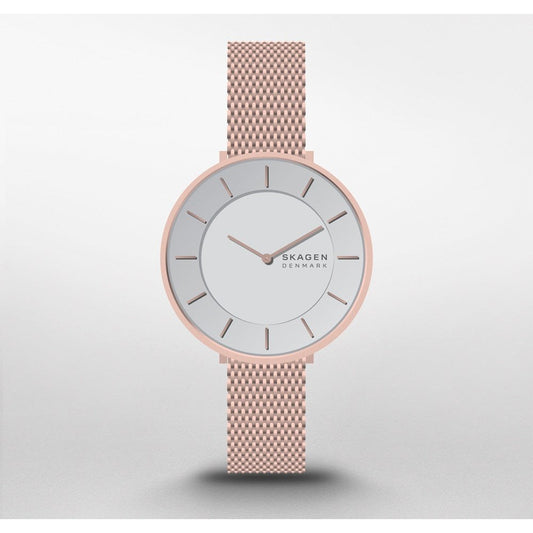 Montre Skagen Watch SKW3013