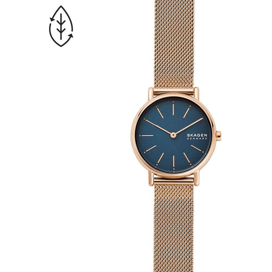 Montre Skagen Watch SKW2837