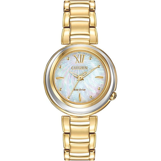 Montre Citizen Watch EM0334-54D