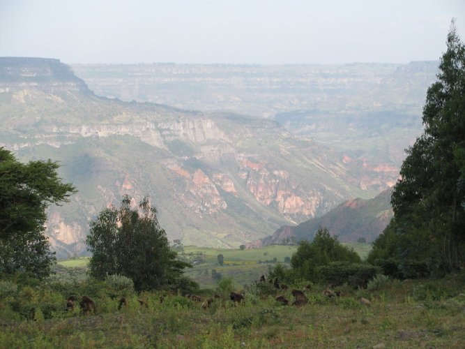 Ethiopia Nature