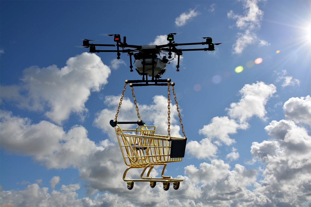 What Kind Of Drones Can Carry Cargo?