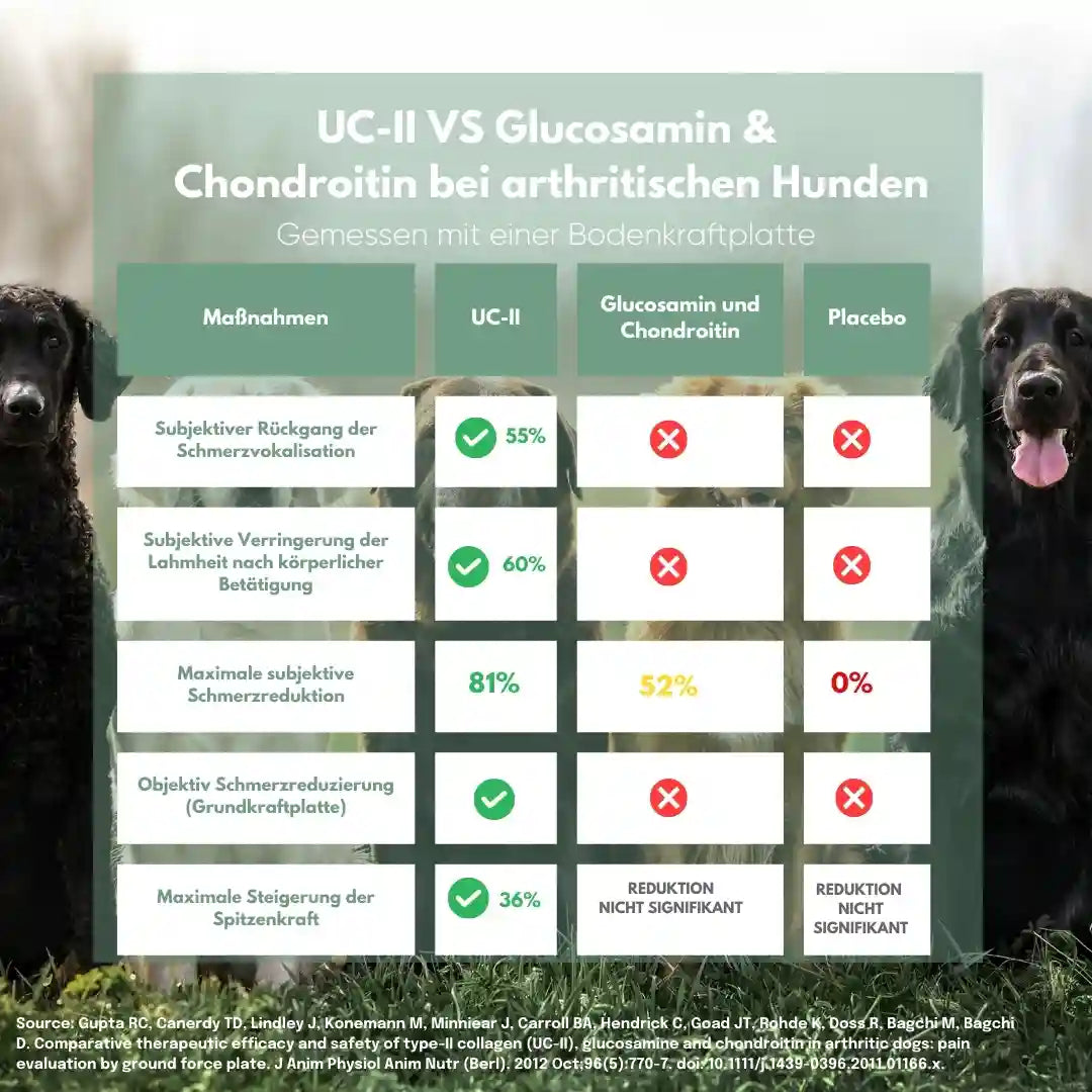 Summary of study looking at UC-II for dog arthritis