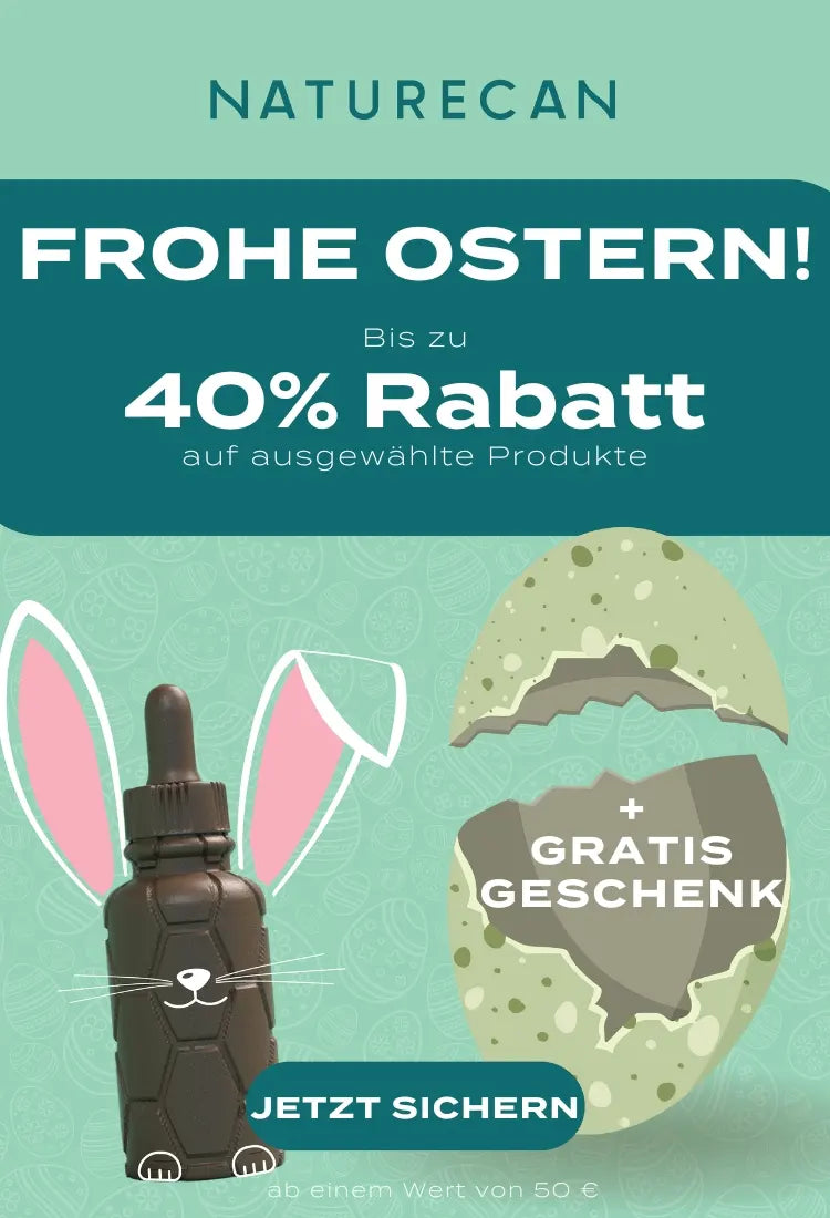 Oster Sale 