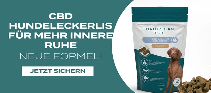 CBD Hundeleckis für innere Ruhe