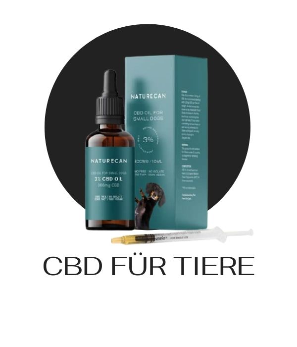 CBD Für Tiere