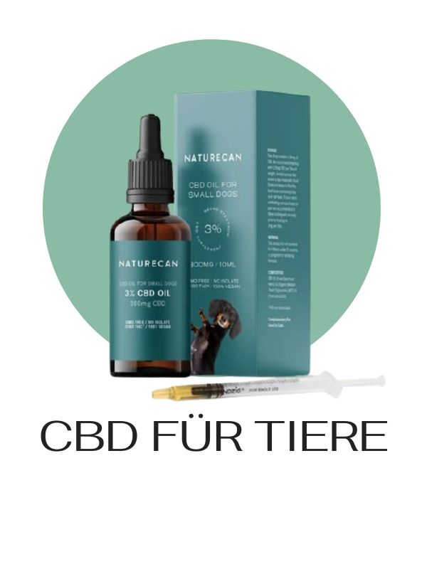 CBD Für Tiere