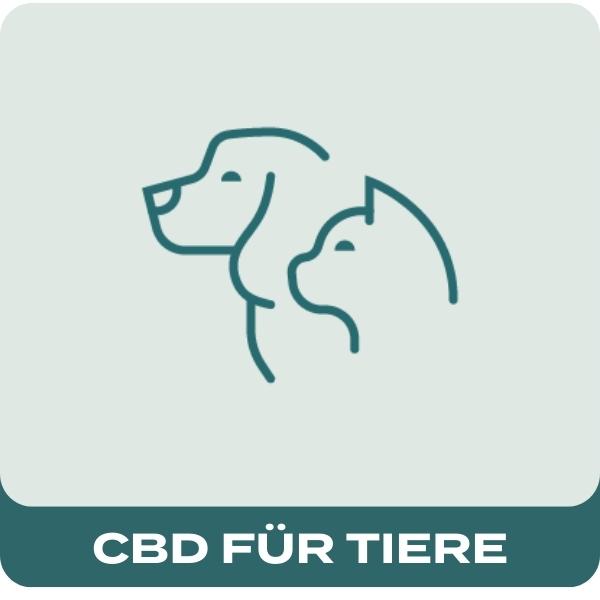 CBD Voor Honden