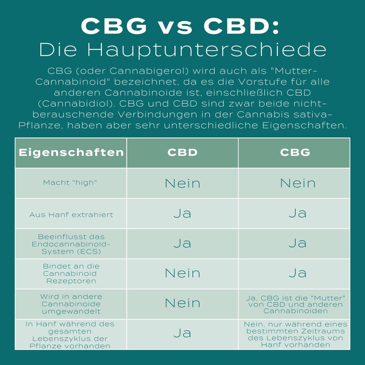 CBG vs CBD infografik