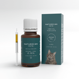 CBD Öl für Katzen