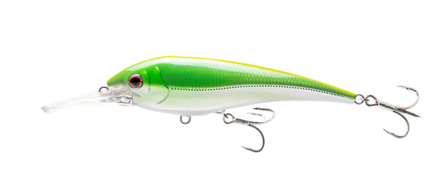 NOMAD DESIGN DTX Minnow 200 Sinking 8 Lure – Crook and Crook Fishing,  Electronics, and Marine Supplies