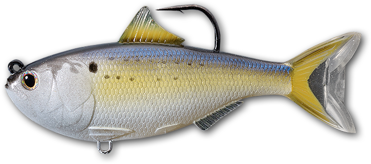 Imitation menhaden with a hook coming out of the top of its back
