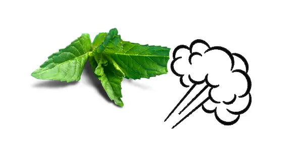 Strength, pacing & satisfaction (nicotine feel) Strength, pacing & satisfaction (nicotine feel)