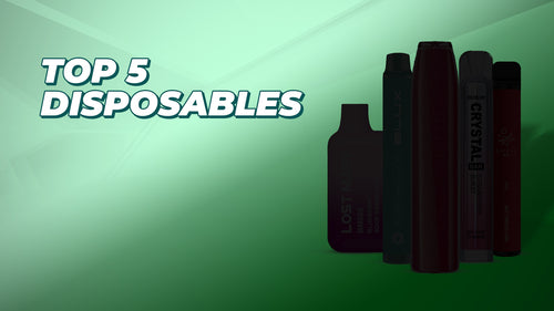 Best 5 Disposables Reviewed