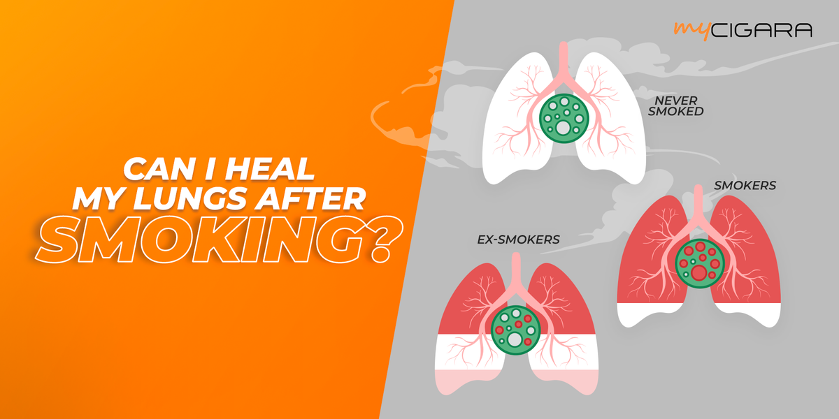 Can your Lungs Heal After Smoking?