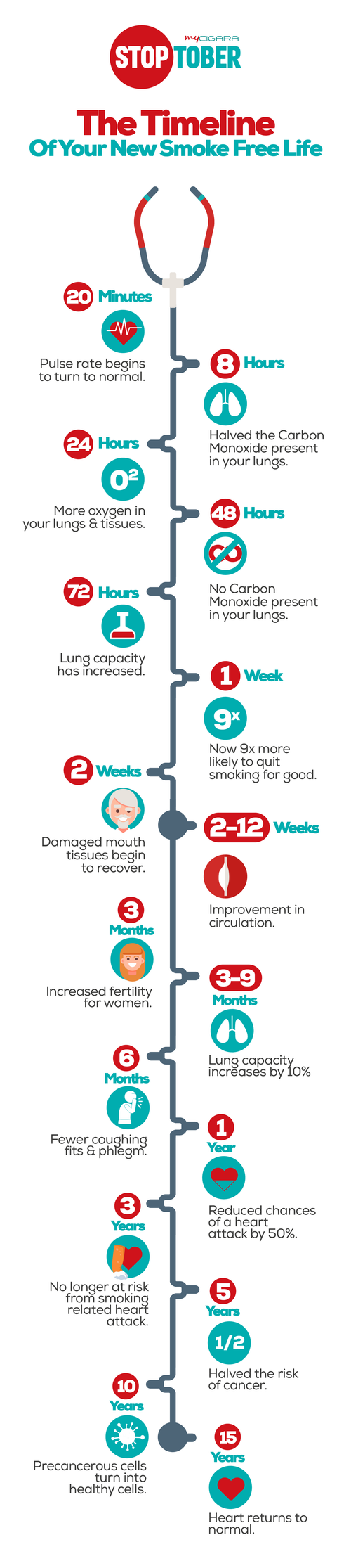Quitting Smoking Timeline : r/Infographics