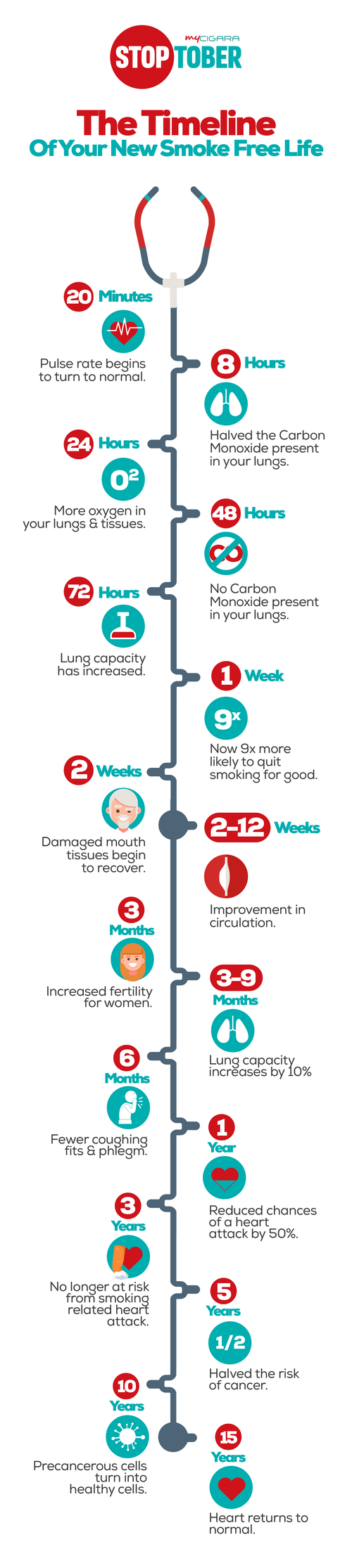 Smoking Cessation Timeline - Legacy Spine & Neurological Specialists