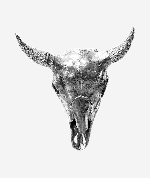 bison skull drawing