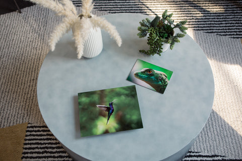 metal prints of a bird and a lizard on a coffee table with 2 vases of flowers