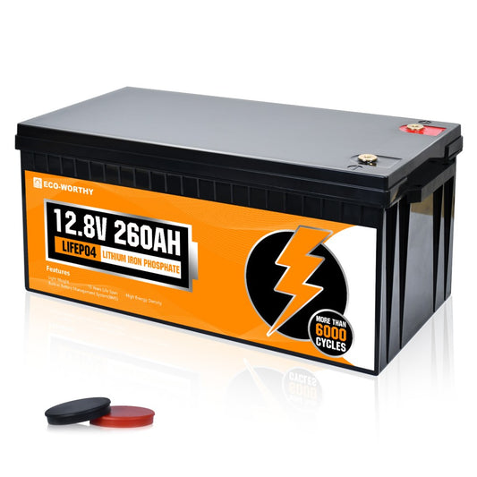 ECO-WORTHY 48V 50Ah LiFePO4 (L13080202022-1) ab 475,99 €