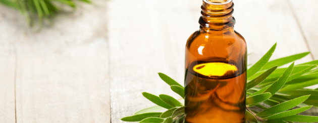 Huile Essentielle de Tea Tree