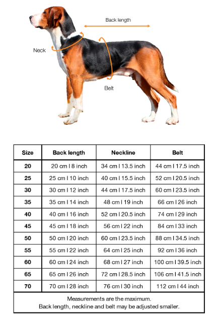 Paikka dog coat sizing