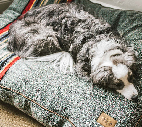 Pendleton dog bed vintage camp heather green napper