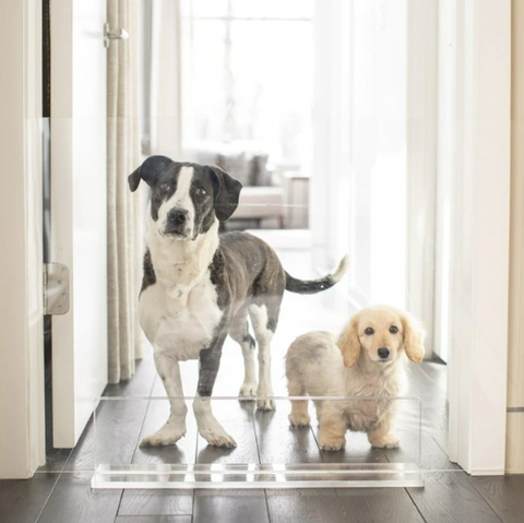 Clear Acrylic Dog Gates For Doorways