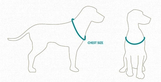 dog harness sizing guide