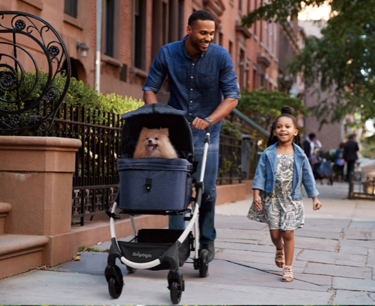 Father with child walking their puppy in a small dog stroller ibiyaya