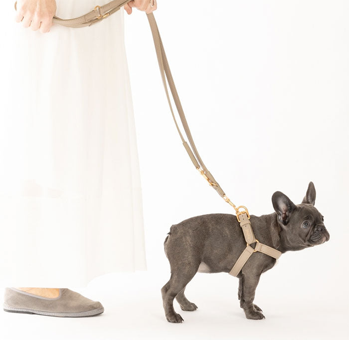 Italian leather dog leash and harness from 2.8 designs