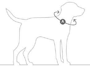 miacara dog collar sizing instruction
