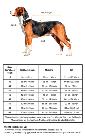Paikka cool bug dog vest sizing chart