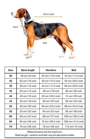 Paikka dog raincoat measurements