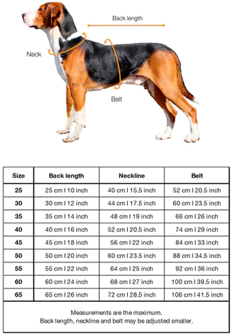 paikka winter suit for dogs size chart