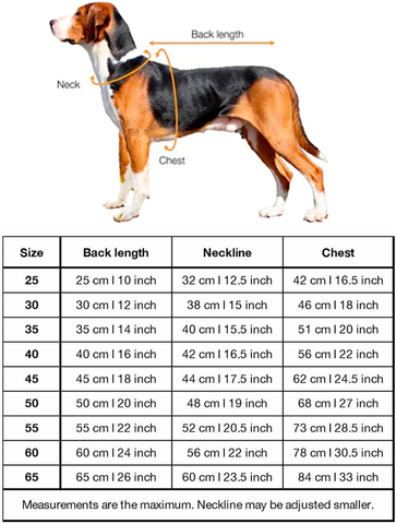 Paikka recovery dog shirt sizing chart