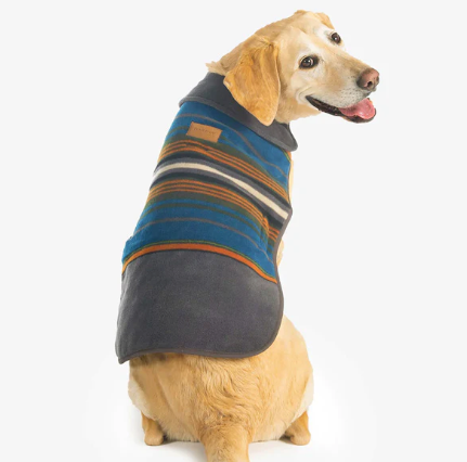 Pendleton Olympic National Park Dog Coat