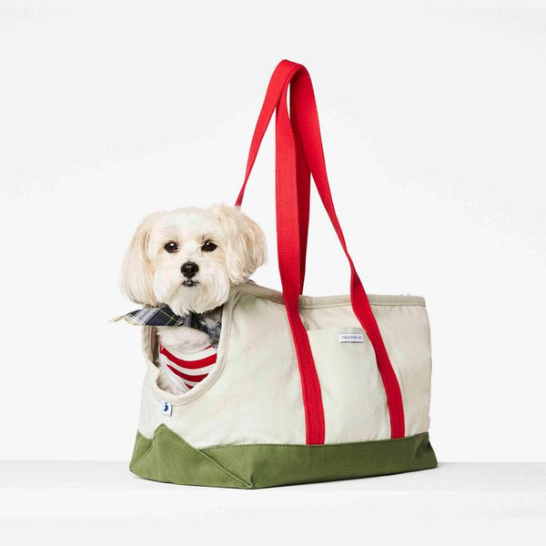 Canvas Pet Tote Small - 5 colors – LoveThyBeast