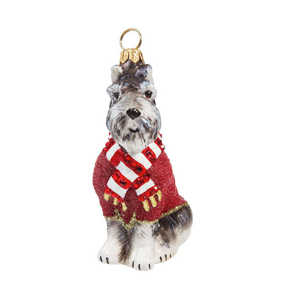 sweater for miniature schnauzer