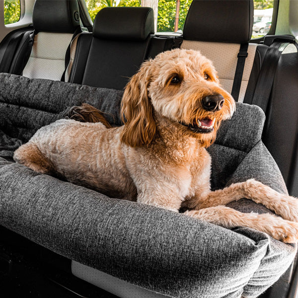 Best car seat for a large size dog