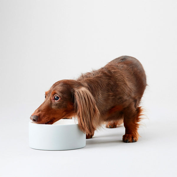 PAIKKA Medium Dog Food and Water Bowls