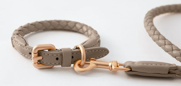 Italian Cowhide Leather Dog Collar | In Stock