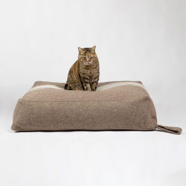luxury stylish cat bed
