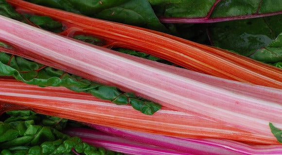 Rhubarb and Orange Frangipane