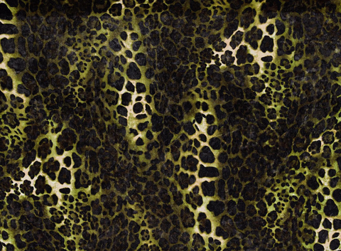 cheetah print on velvet zelouf fabrics