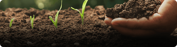 improve soil structure