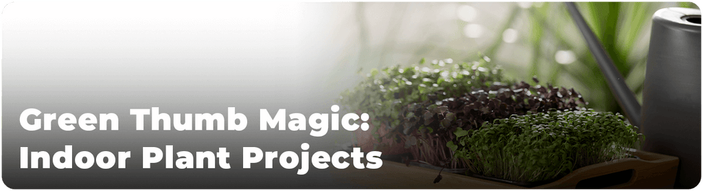 Green Thumb Magic: Indoor Plant Projects