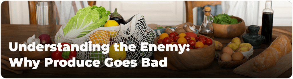 Understanding the Enemy: Why Produce Goes Bad