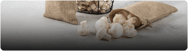 The Mushroom Mystery: The Humidity Huddle