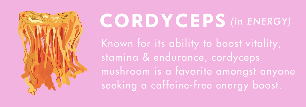 what are the benefits of cordyceps?