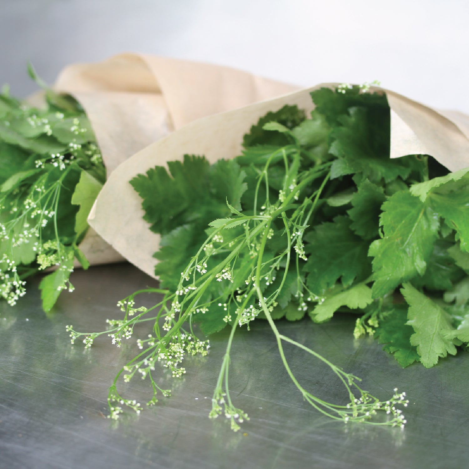 Japanese Parsley Flowers Aggie Global Fiji